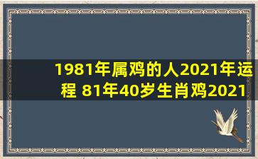 1981年属鸡的人2021年运程 81年40岁生肖鸡2021年运势